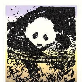Giant Pandas Spend About 12 Hours a Day Eating Up to 15 Kilograms of Bamboo. Bamboo is Rich in Prote (First Edition) by Rob Pruitt