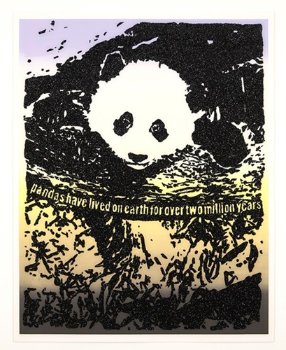 Giant Pandas Spend About 12 Hours a Day Eating Up to 15 Kilograms of Bamboo. Bamboo is Rich in Prote (First Edition) by Rob Pruitt