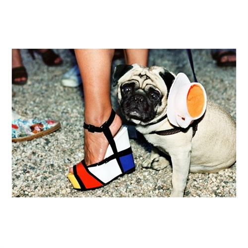 Mondrian Pug (Large) by Jessica Craig-Martin