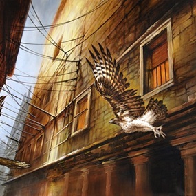 Flight Of The Hunter by Brin Levinson