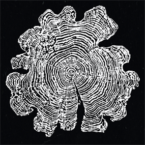 Poplar 1975-2017 (Inverted) by SKURK