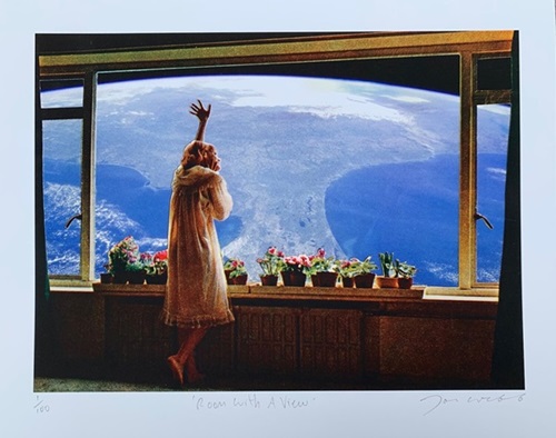 Room With A View  by Joe Webb