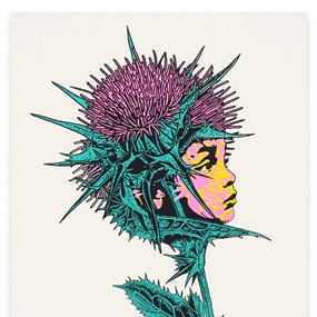 Espinas De Cardo Mariana (First Edition) by Stinkfish