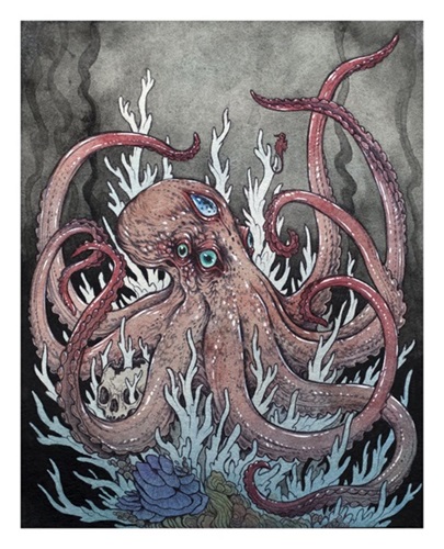 The Octopus