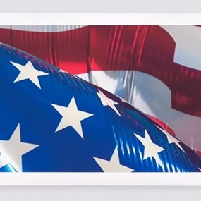 Flag II by Jeff Koons