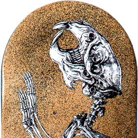 Decay 3 (Signed) by ROA