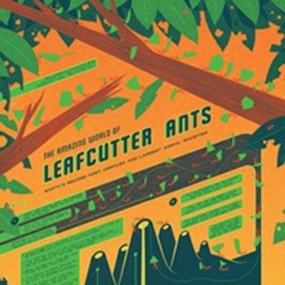 Ants by Kevin Tong