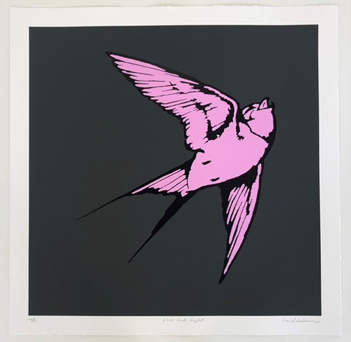 Love And Light (Charcoal & Pink) by Dan Baldwin