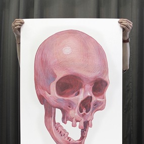 Skull by Aryz