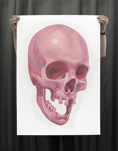 Skull  by Aryz