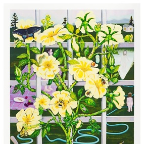 Climbing Rose by Nikki Maloof