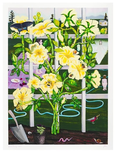 Climbing Rose  by Nikki Maloof
