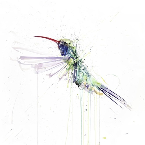 Hummingbird II  by Dave White