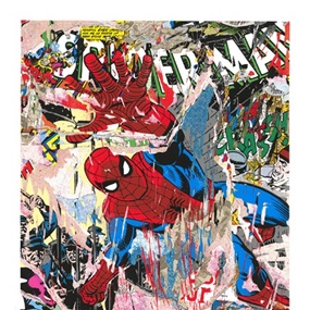 Spider-Man by Mr Brainwash