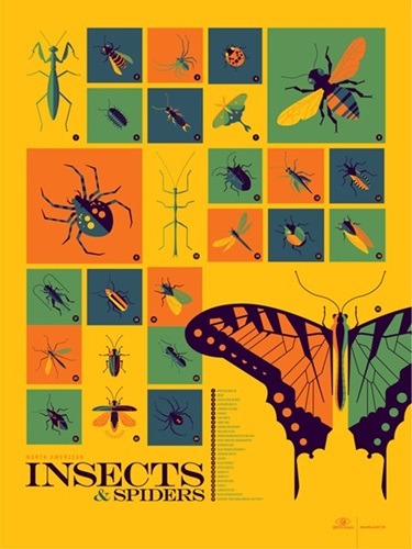 Insects And Spiders  by Tom Whalen