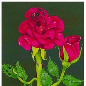 Rose by Nikki Maloof