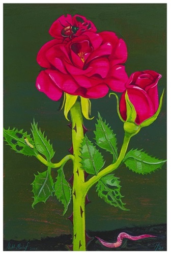 Rose  by Nikki Maloof