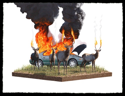 Scorch II  by Josh Keyes