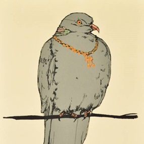 Pigeon by Sage Vaughn