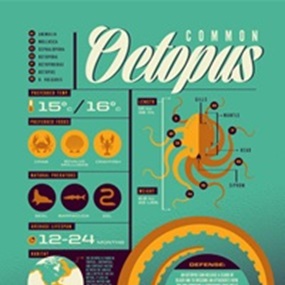Octopus by Tom Whalen