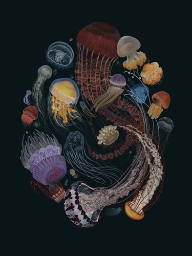Medusozoa (Hand-Embellished) by Zoe Keller