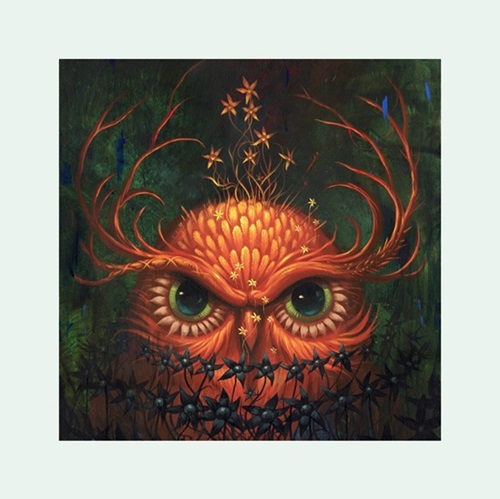Night Owl (Second Edition) by Jeff Soto
