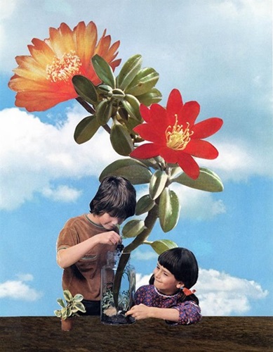 Growing Things (First Edition) by Joe Webb