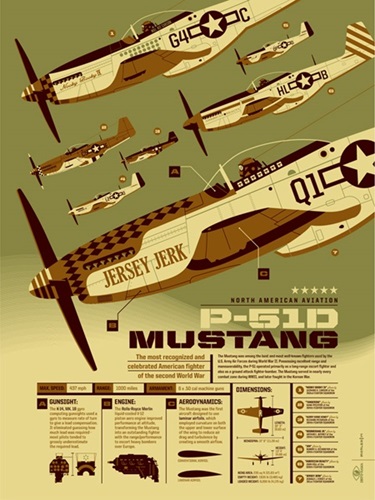 P-51D Mustang  by Tom Whalen