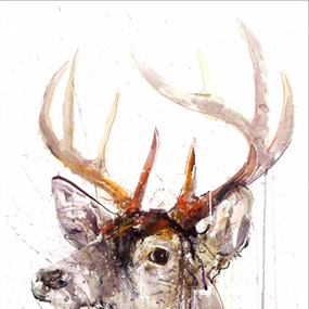 Stag (Hand-Finished) by Dave White