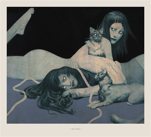 Cat Eyes  by João Ruas
