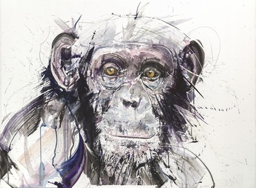 Chimp I  by Dave White