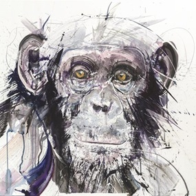 Chimp I by Dave White