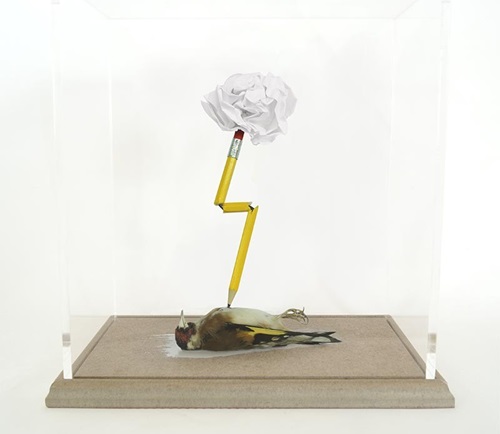 A Reluctant Mind (Goldfinch) by Polly Morgan