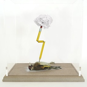 A Reluctant Mind (Goldfinch) by Polly Morgan