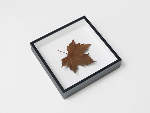 Single Leaves  by Elmgreen & Dragset