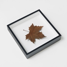 Single Leaves by Elmgreen & Dragset