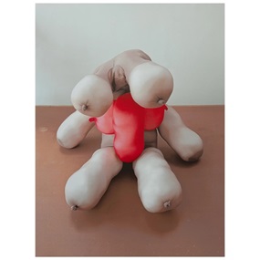 TIt Teddy by Sarah Lucas