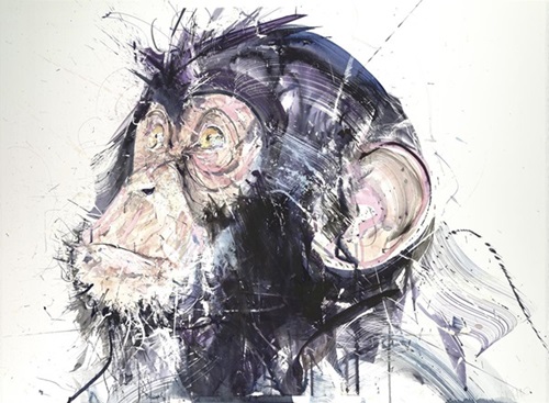 Chimp III  by Dave White
