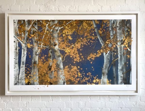 Birch Forest  by Xenz