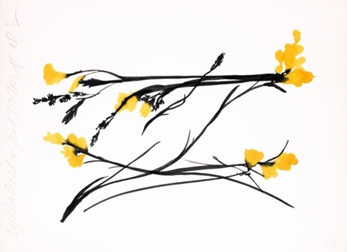 Yellow Freesia June 13, 2024  by Donald Sultan