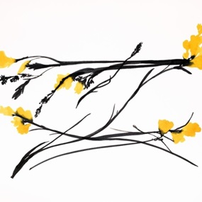 Yellow Freesia June 13, 2024 by Donald Sultan