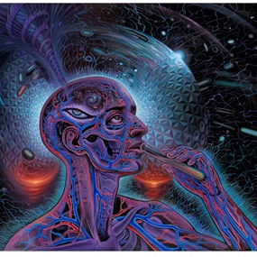 Bicycle Day (First edition) by Mars 1 | Alex Grey