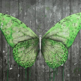 e-Lepidoptera by Ludo