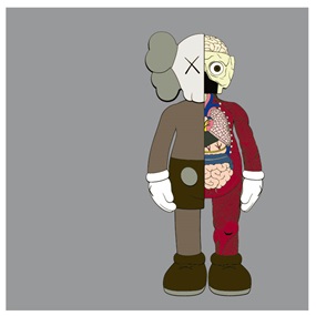 Dissected Companion Print (Brown) by Kaws