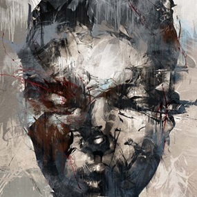 Aspidistra by Russ Mills