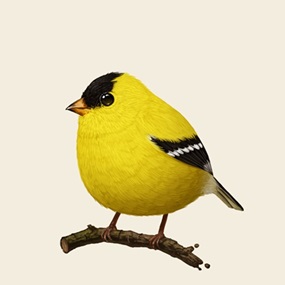 American Goldfinch by Mike Mitchell