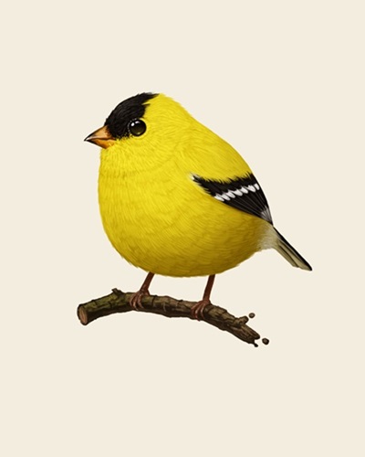 American Goldfinch  by Mike Mitchell