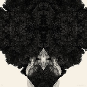 Messenger (Small) by Dan Hillier