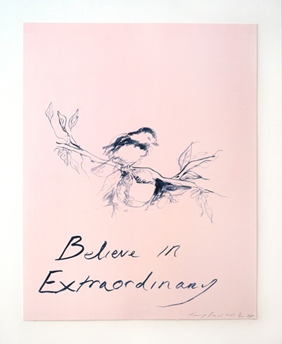 Believe In Extraordinary  by Tracey Emin