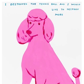 I Destroyed The Tennis Ball by David Shrigley
